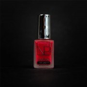 Nartist NP10 Stampi 6ml