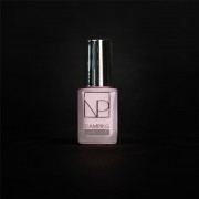 Nartist NP19 Stampi 6ml
