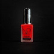 Nartist NP9 Stampi 6ml
