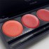 Гель-лак Palette 10 (Red Shine) SOLAlove, 25мл Гель-лак Palette 10 (Red Shine) SOLAlove, 25мл