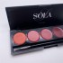 Гель-лак Palette 10 (Red Shine) SOLAlove, 25мл Гель-лак Palette 10 (Red Shine) SOLAlove, 25мл
