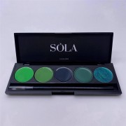 Гель-лак Palette 14 (Green) SOLAlove, 25мл
